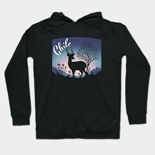 Chilean Torres Del Paine Wildlife Silhouette Hoodie